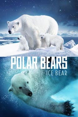 Polar Bears: Ice Bear [Digital Code - HD]
