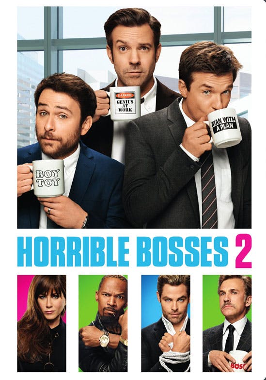 Horrible Bosses 2  DVD