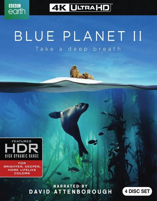 Blue Planet II (4K Ultra HD + Blu-ray) - UHD  - Nature Movies on 4K Ultra HD Blu-ray - Movies on GRUV