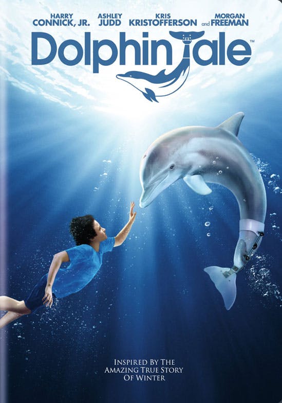 Dolphin Tale  DVD