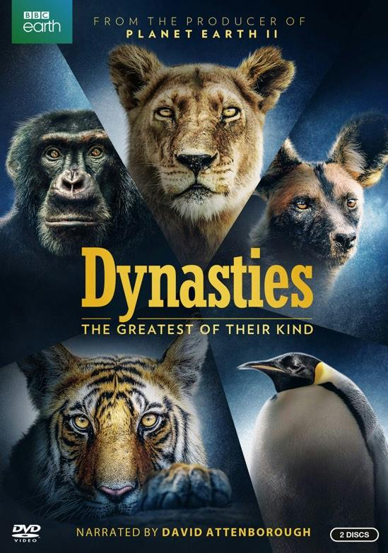 Dynasties - DVD