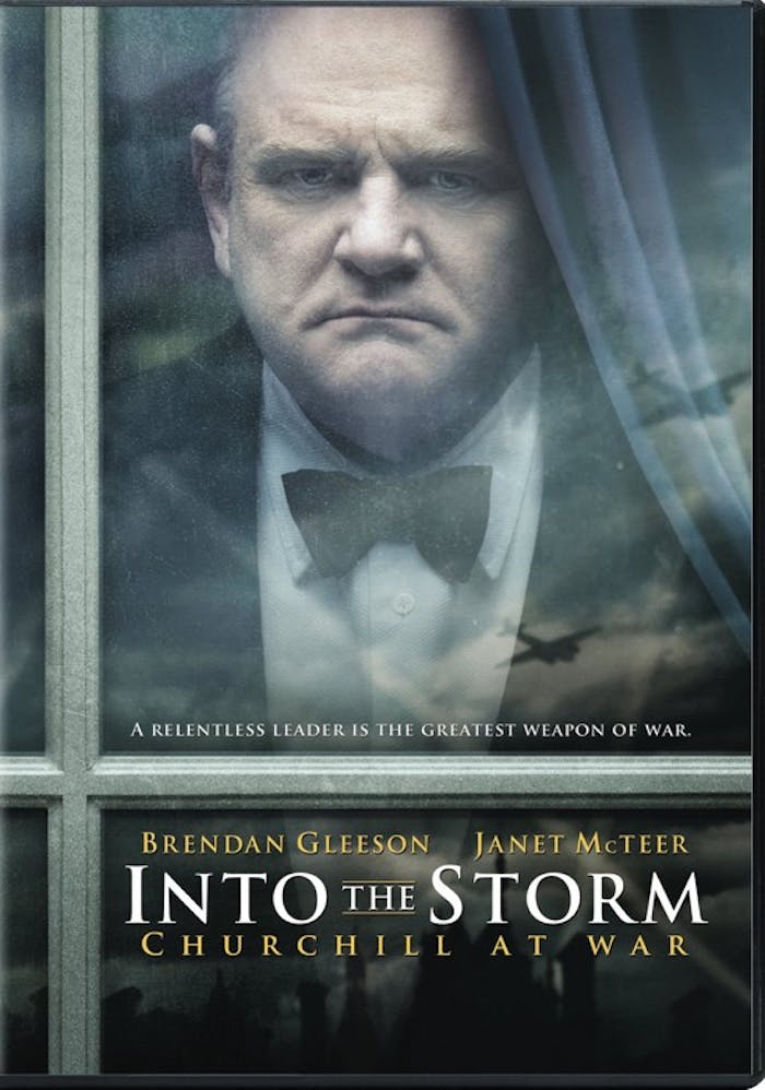 Into the Storm [DVD]