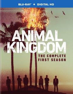 Animal Kingdom: The Complete First Season [Blu-ray]