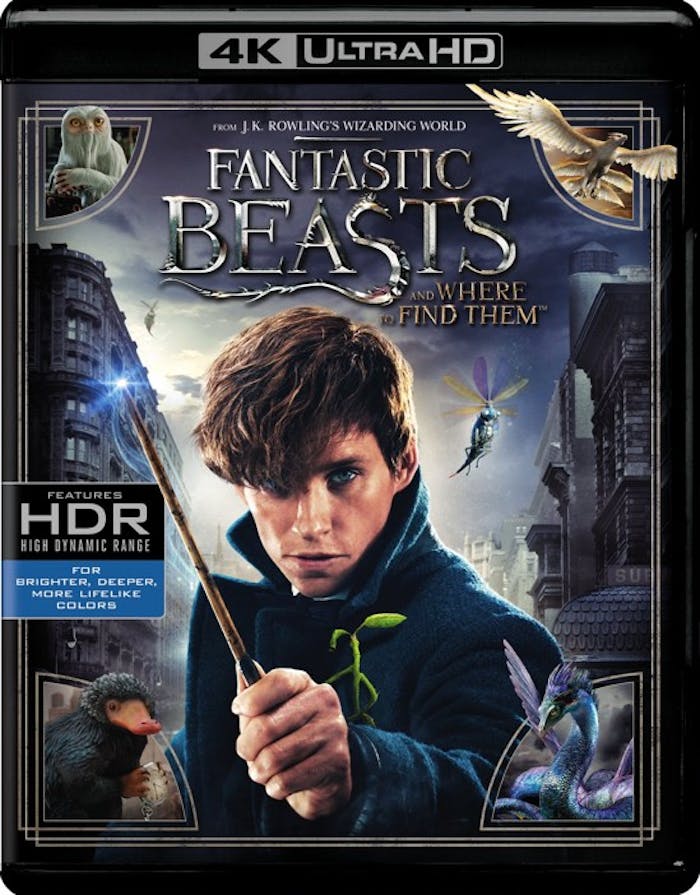 Fantastic Beasts and Where to Find Them (4K Ultra HD + Blu-ray) [UHD]
