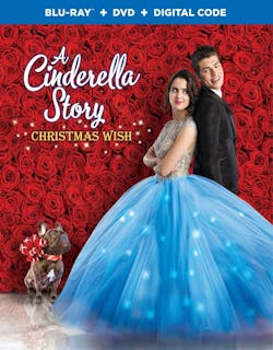 Cinderella Story, A:  Christmas Wish [Blu-ray]