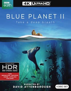 Blue Planet II (4K Ultra HD + Blu-ray) [UHD]