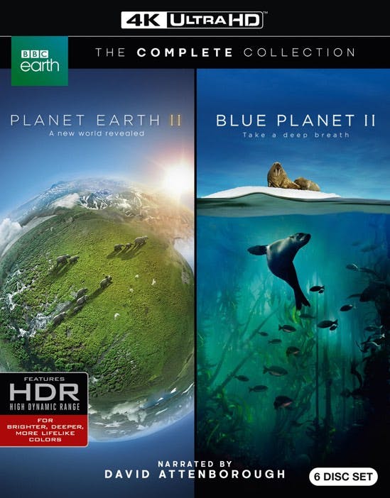 Planet Earth