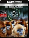 Seven Worlds, One Planet (4K Ultra HD + Blu-ray) [UHD]