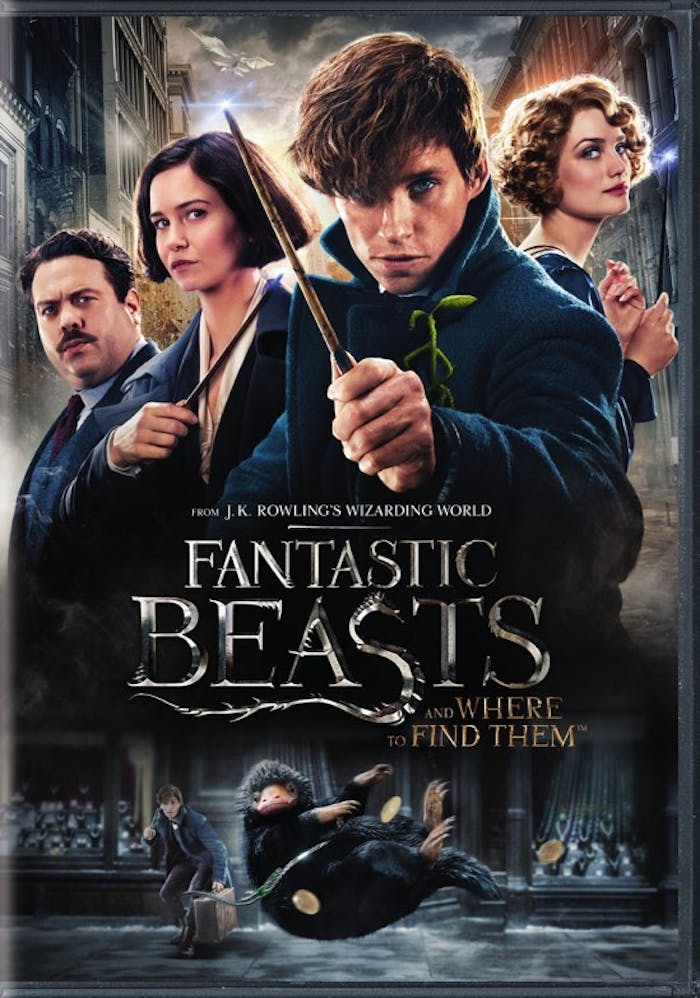 Fantastic Beasts and Where to Find Them (DVD Single Disc) [DVD]