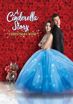 Cinderella Story, A: Christmas Wish [DVD]