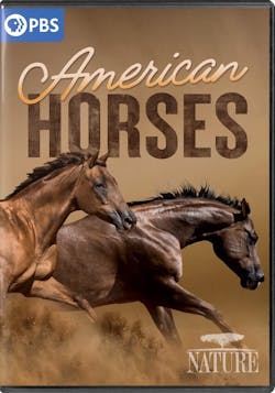 NATURE-AMERICAN HORSES (DVD) [DVD]