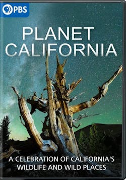 Planet California [DVD]